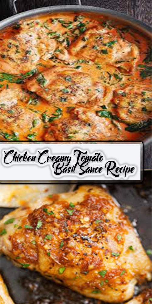 Chicken Creamy Tomato Basil Sauce Recipe - The Kids Cooking Corner